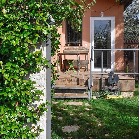 Acogedora Casa Con Verde Jardin By Cabana Rentals Ituero y Lama Luaran gambar